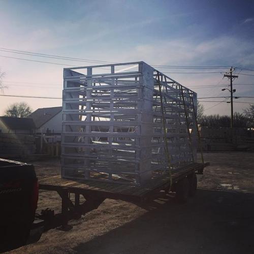 12519122 1847654055461771 224685261 n